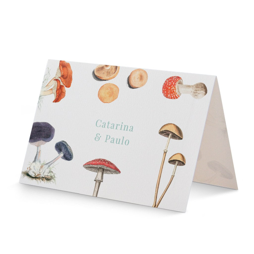 estampa Fungi | aberto