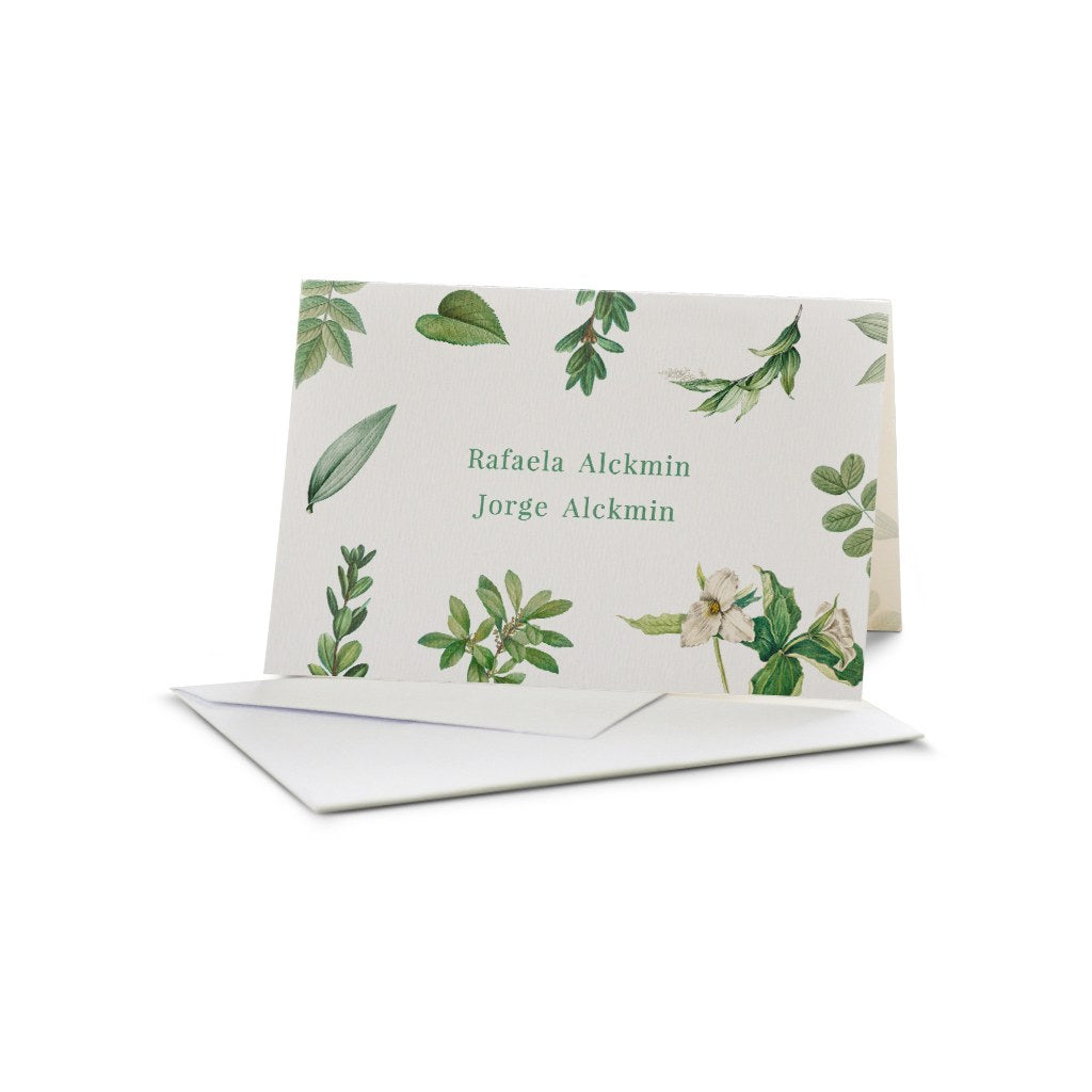 estampa Vert | envelope