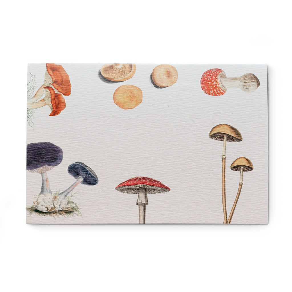 estampa Fungi | mockup